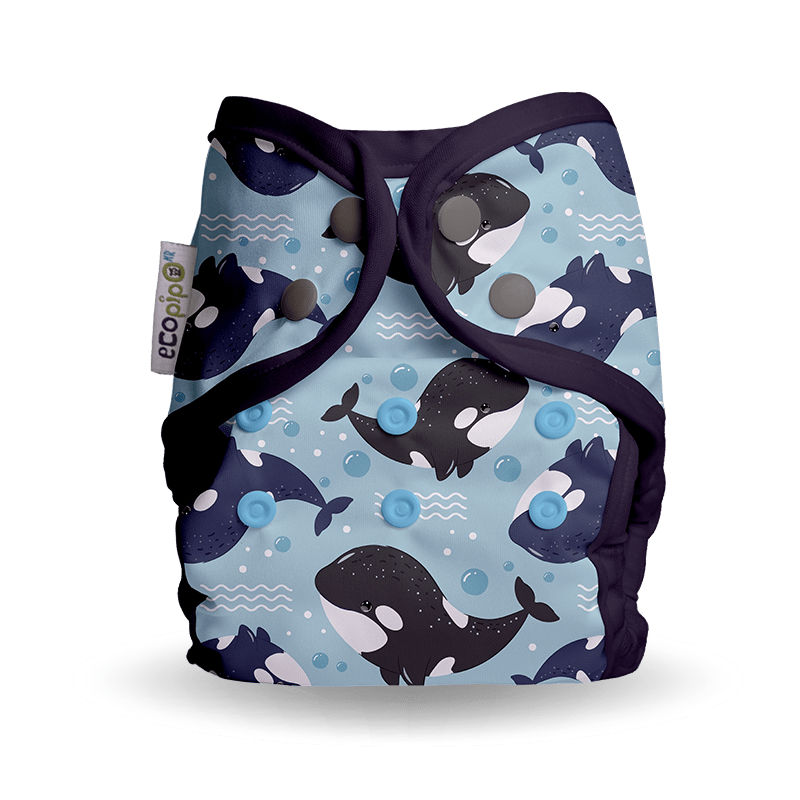 Ecopipo_PanalNatacion_Ballenitas