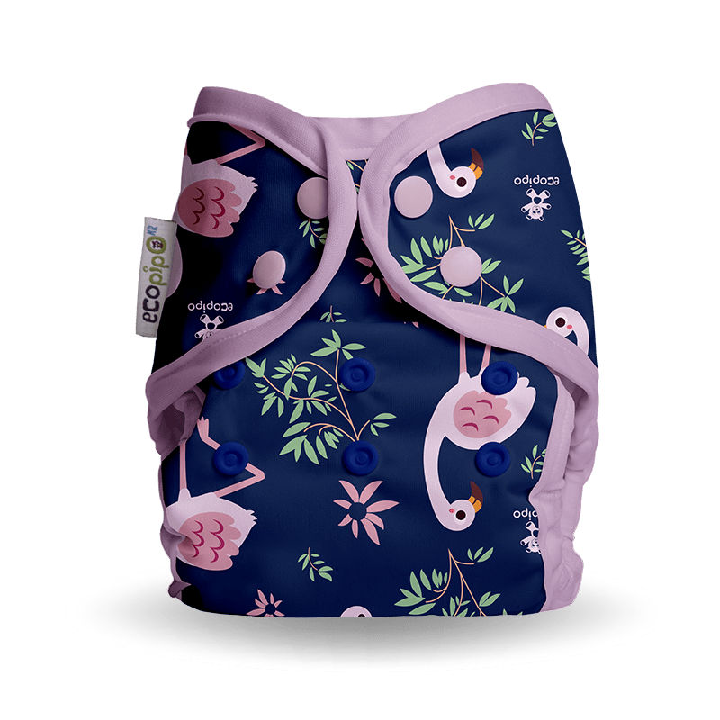 Ecopipo_PanalNatacion_Flamingos