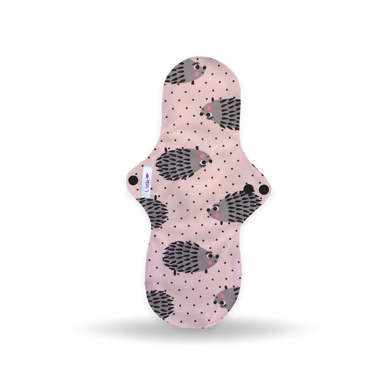 Ecopipo_TNocturna_Erizos